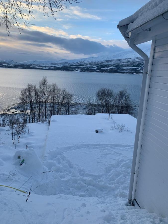 Hakoyveien 151, Tromso Hotel Buitenkant foto