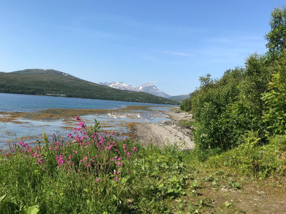 Hakoyveien 151, Tromso Hotel Buitenkant foto