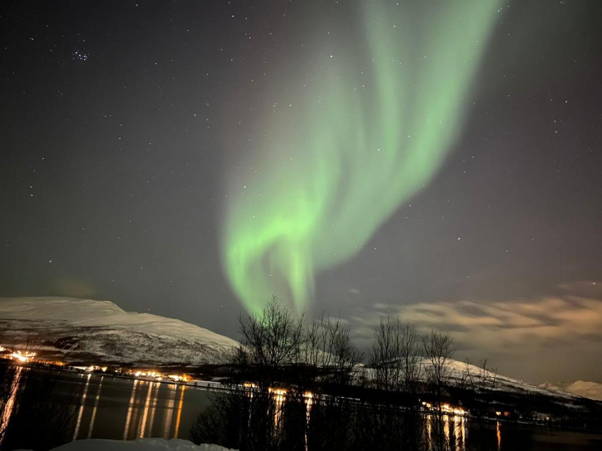 Hakoyveien 151, Tromso Hotel Buitenkant foto