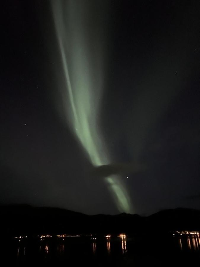 Hakoyveien 151, Tromso Hotel Buitenkant foto