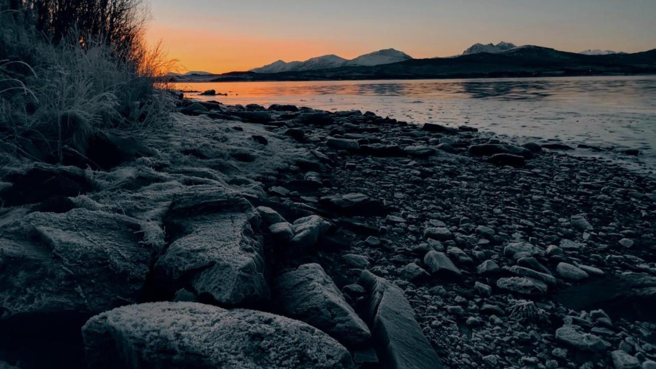 Hakoyveien 151, Tromso Hotel Buitenkant foto